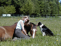 meine Tiere und ich